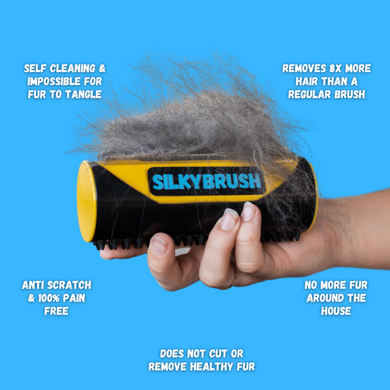 SilkyBrush